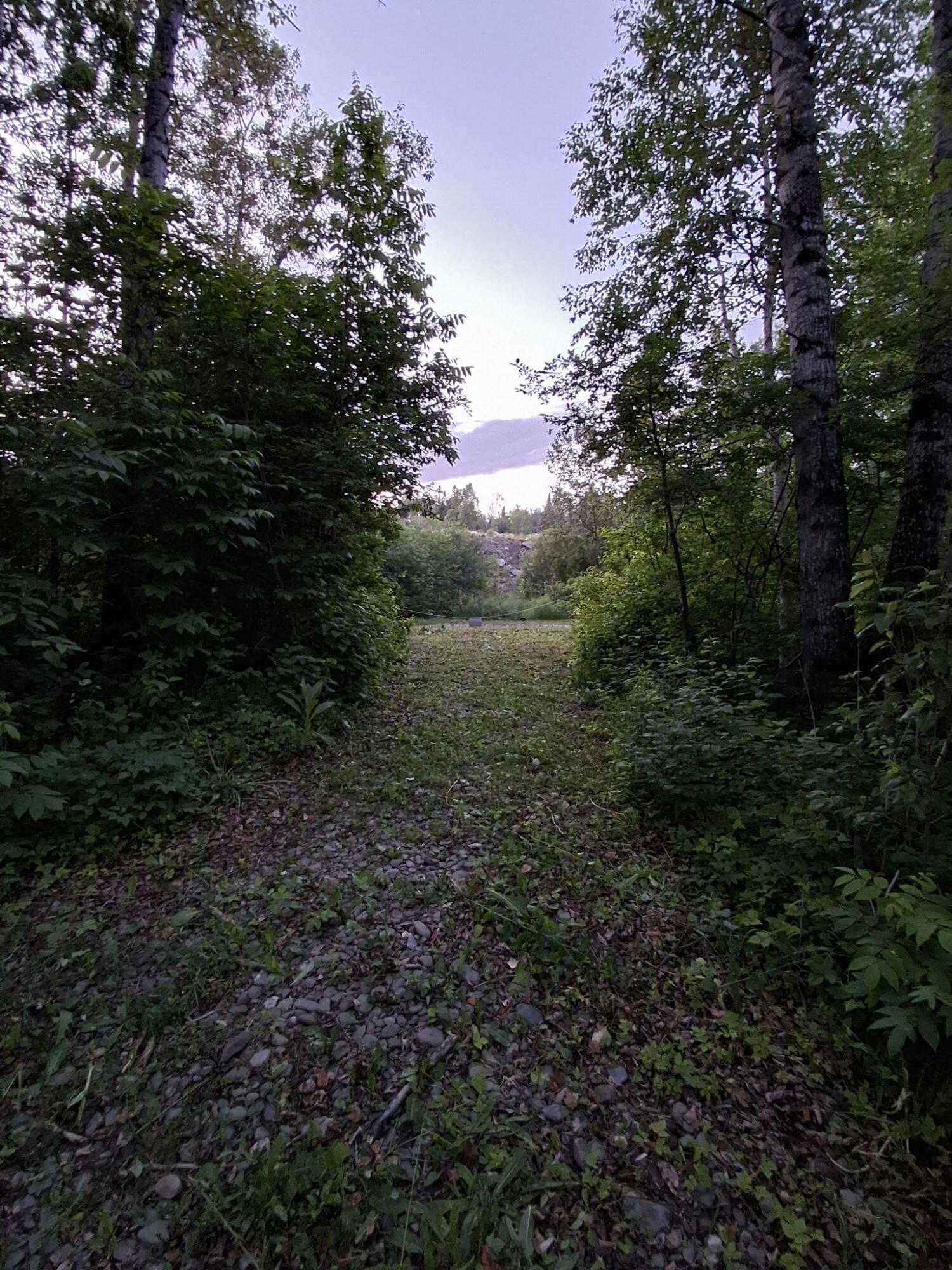 1356 Aroostook Road Wallagrass, ME 04781 - Photo 34 of 37 44