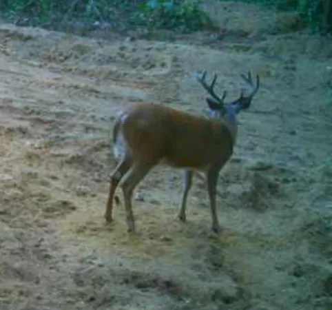 $550,000 | N2325 Elm Street, Wautoma, WI 54982