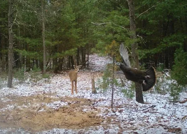 $550,000 | N2325 Elm Street, Wautoma, WI 54982