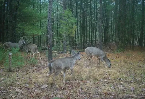 $550,000 | N2325 Elm Street, Wautoma, WI 54982