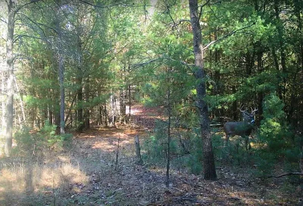 $550,000 | N2325 Elm Street, Wautoma, WI 54982