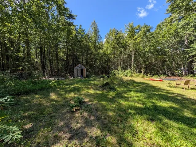 a view of outdoor space with trees all around