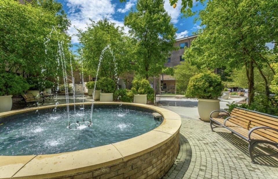 200 Manufacturers Road, Unit 707 Chattanooga, TN 37405 - Photo 51 of 65 Tranquil Fountain