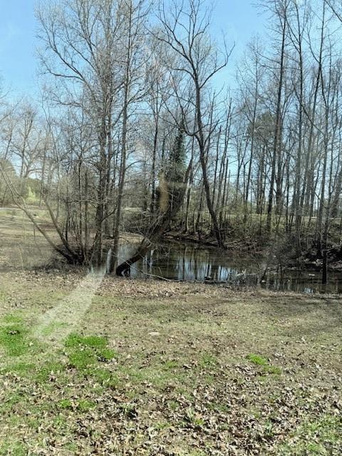 70 North Bellview Road Aragon, GA 30104 - Photo 29 of 30 a backyard of a house with lots of green space