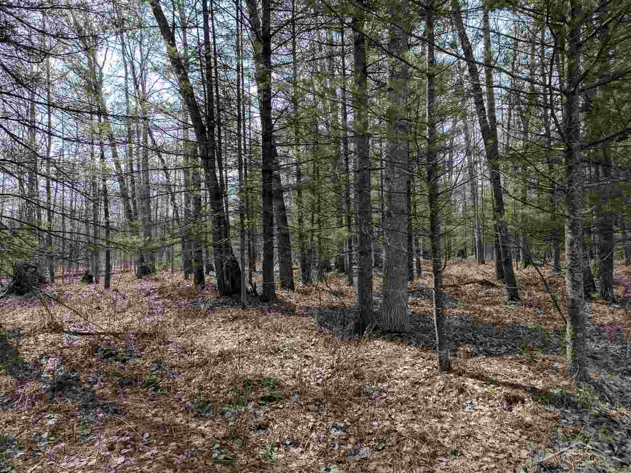 2573 Greenwood Road Alger, MI 48610 - Photo 30 of 34 78.4 Acres