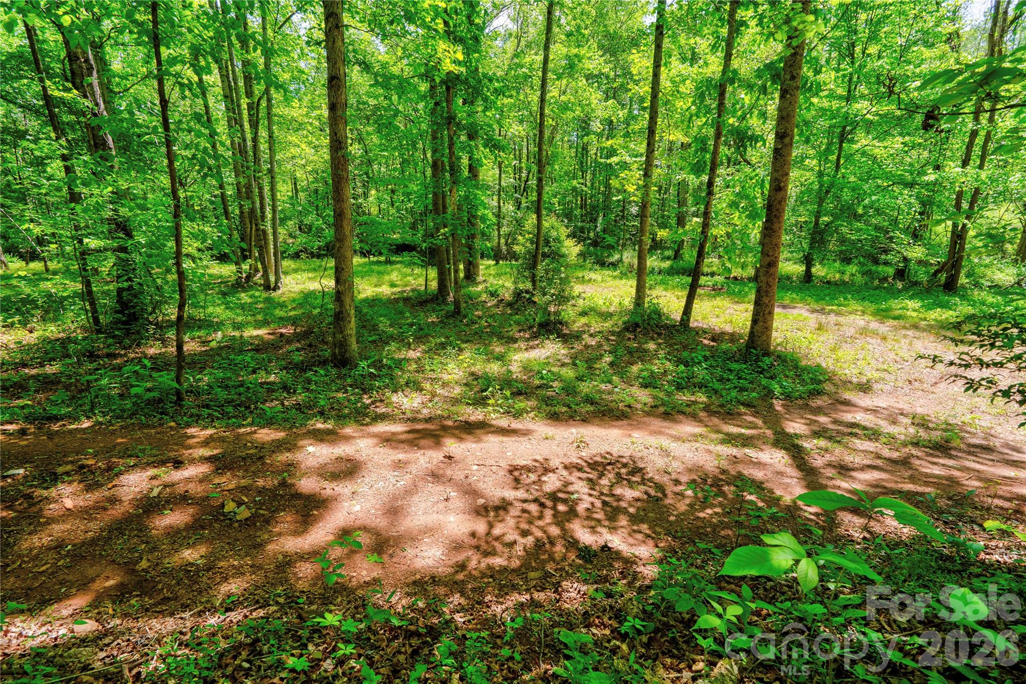 0 Taylor Road Rutherfordton, NC 28139 - Photo 13 of 25 a backyard of a house with lots of green space