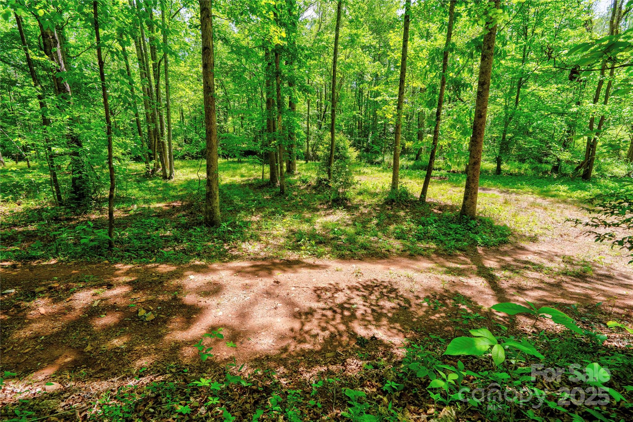 0 Taylor Road Rutherfordton, NC 28139 - Photo 14 of 25 a backyard of a house with lots of green space