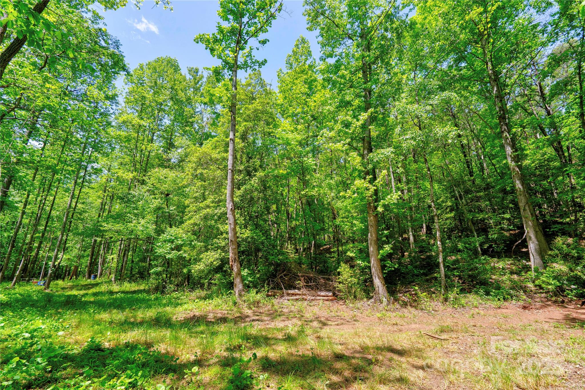 0 Taylor Road Rutherfordton, NC 28139 - Photo 15 of 25 a fire hydrant in the middle of a field