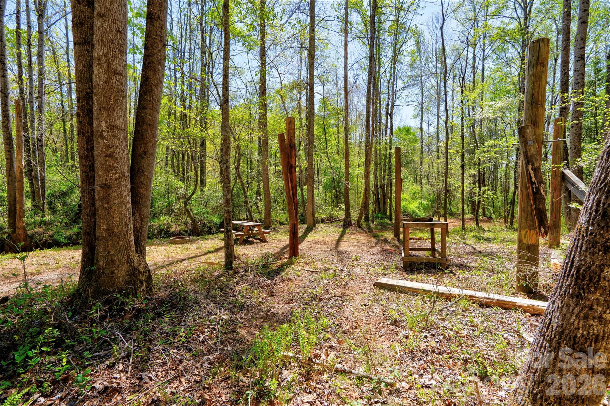 0 Taylor Road Rutherfordton, NC 28139 - Photo 17 of 25 a view of a backyard with potted plants and large tree