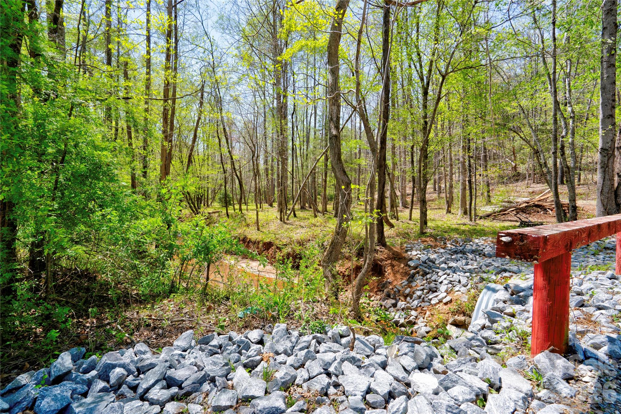 0 Taylor Road Rutherfordton, NC 28139 - Photo 18 of 25 a view of a yard with plants and trees