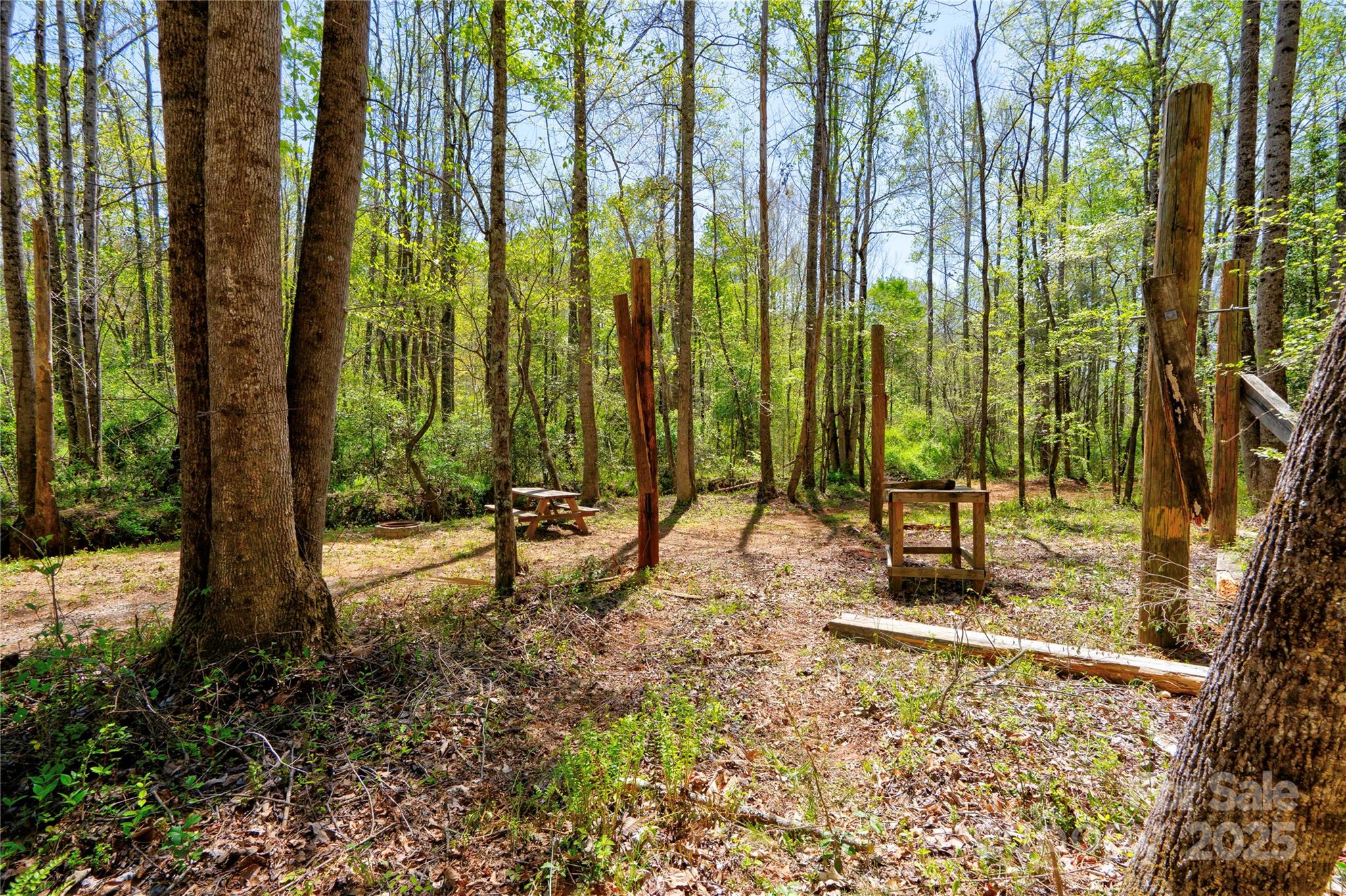 0 Taylor Road Rutherfordton, NC 28139 - Photo 18 of 25 a view of a backyard with potted plants and large tree