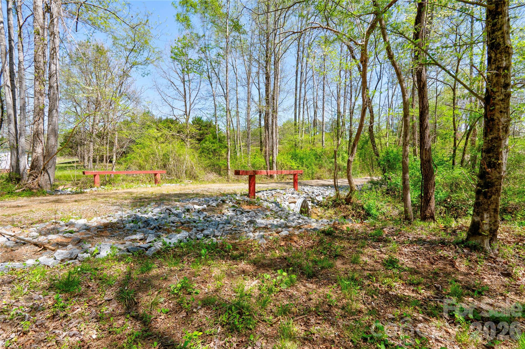 0 Taylor Road Rutherfordton, NC 28139 - Photo 19 of 25 a view of yard with trees