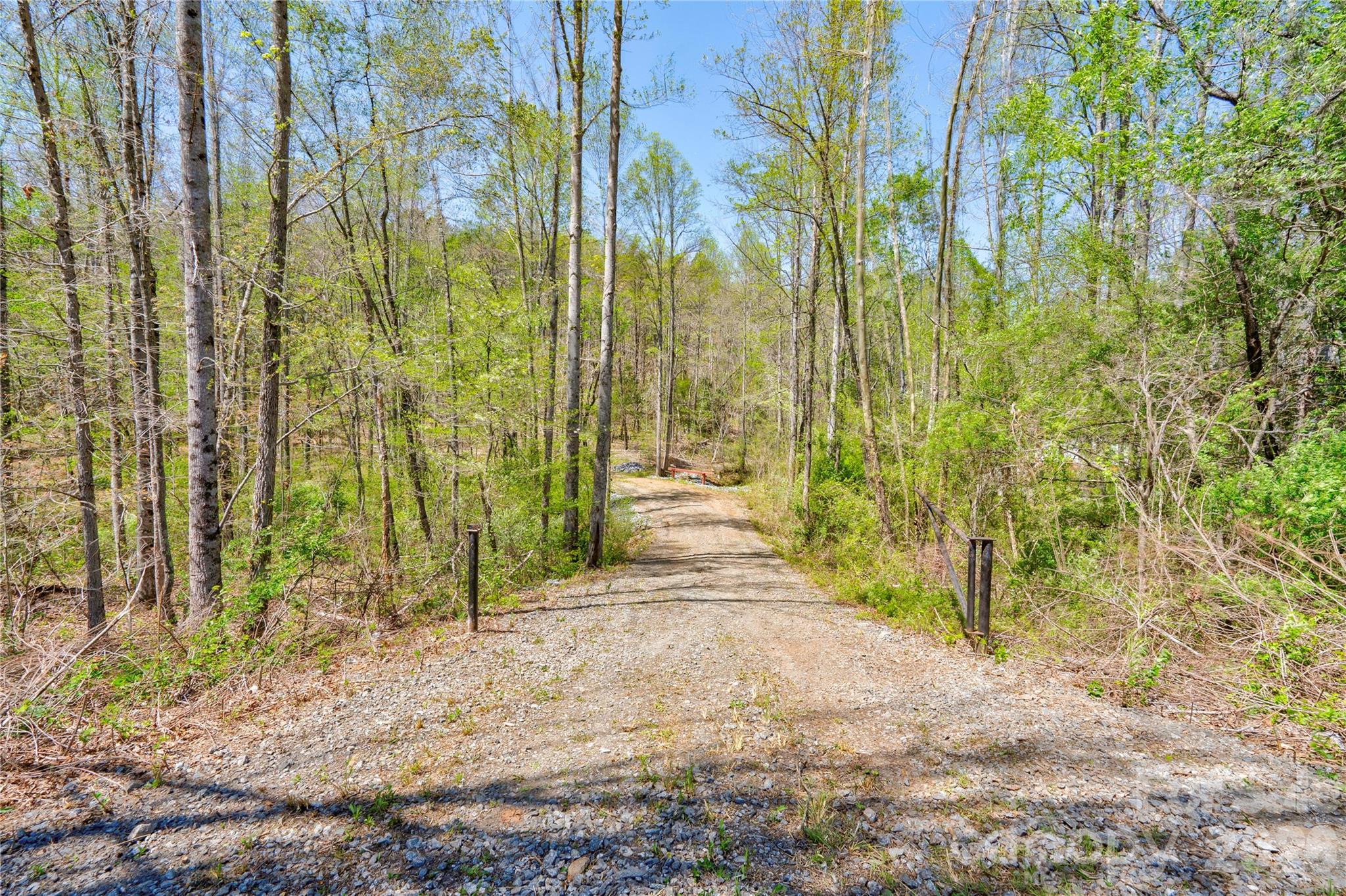 0 Taylor Road Rutherfordton, NC 28139 - Photo 20 of 25 a view of a pathway both side of house