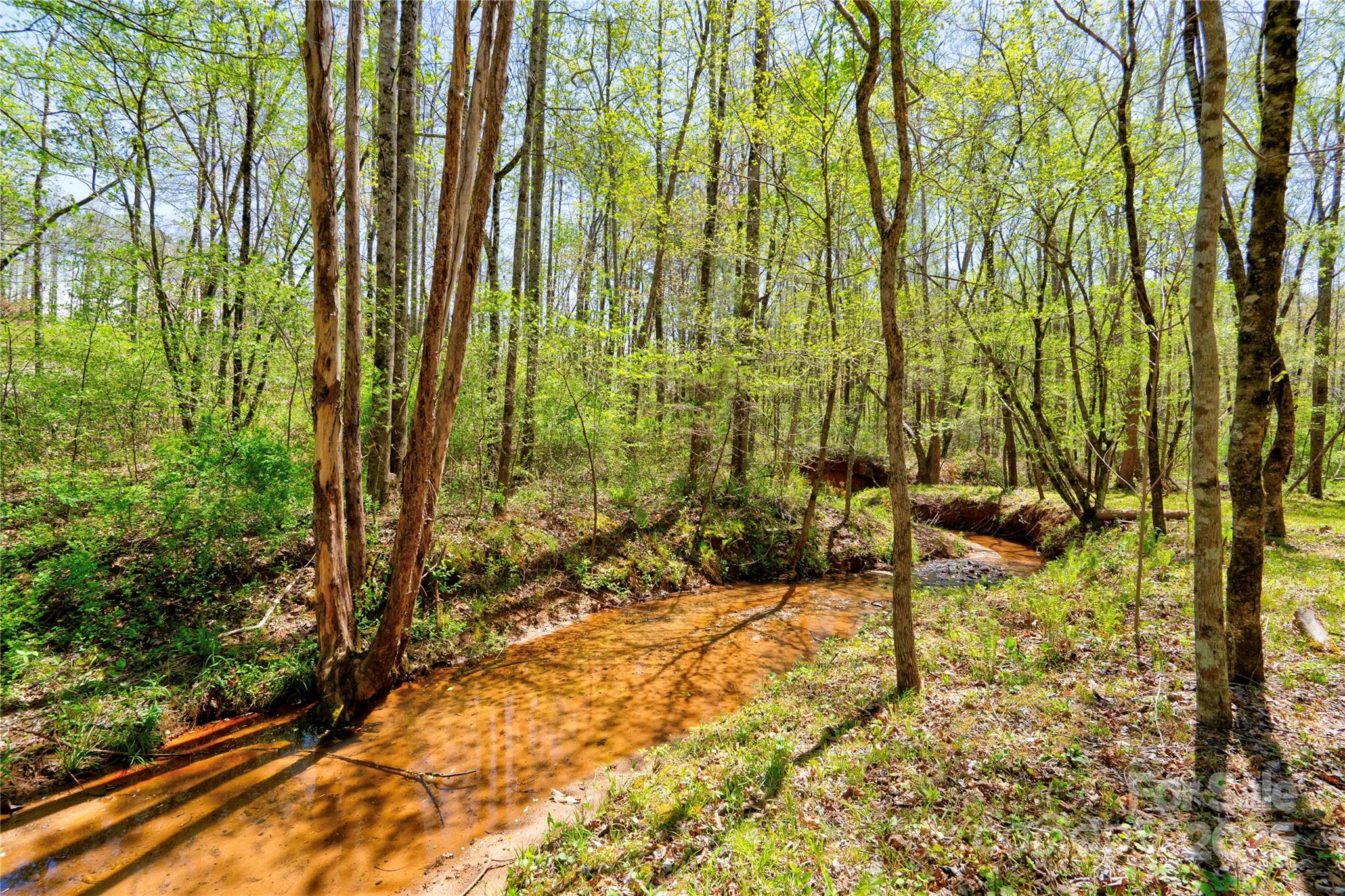 0 Taylor Road Rutherfordton, NC 28139 - Photo 2 of 25 a view of under construction area
