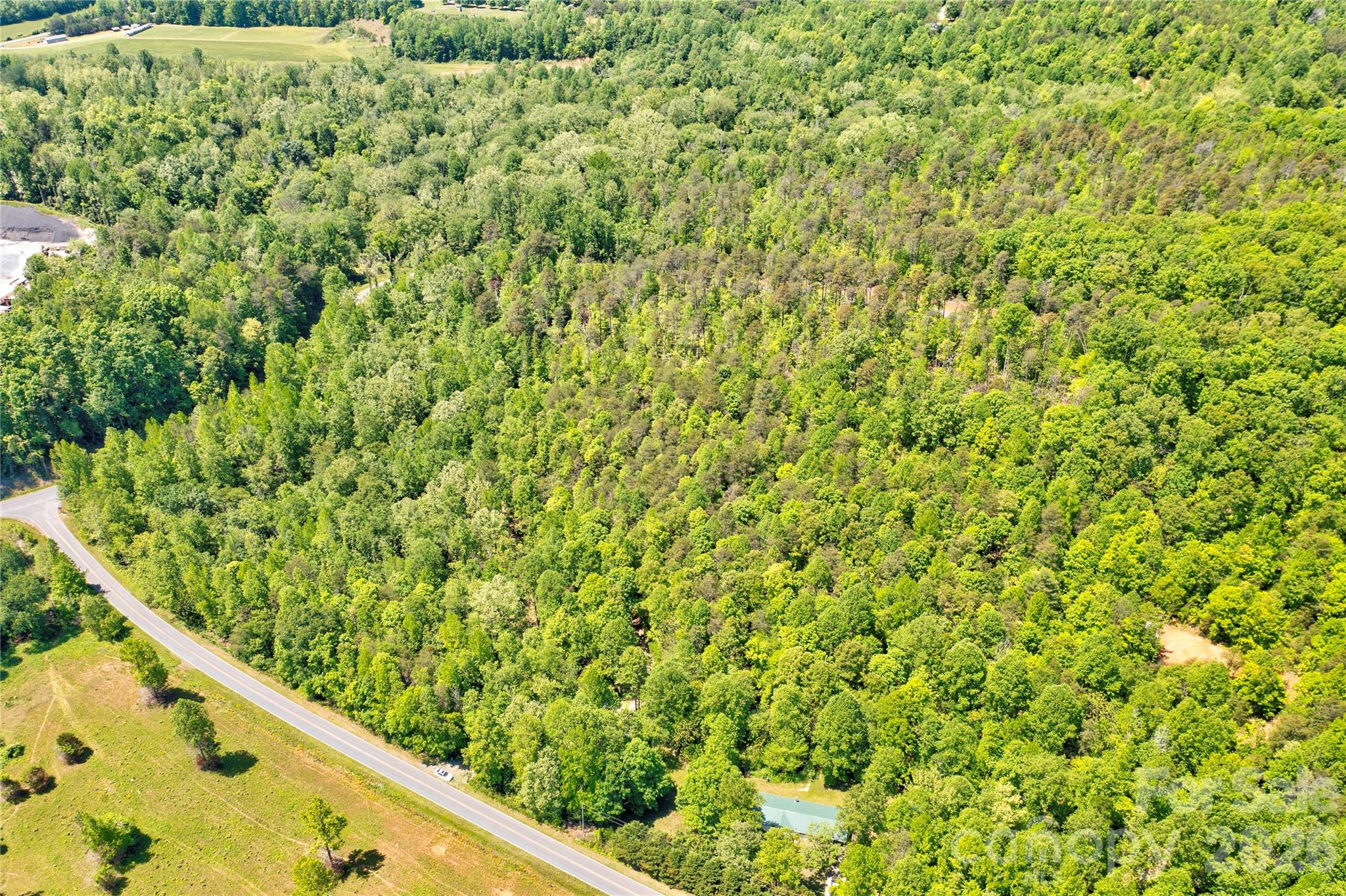 0 Taylor Road Rutherfordton, NC 28139 - Photo 22 of 25 a view of a green field with plants