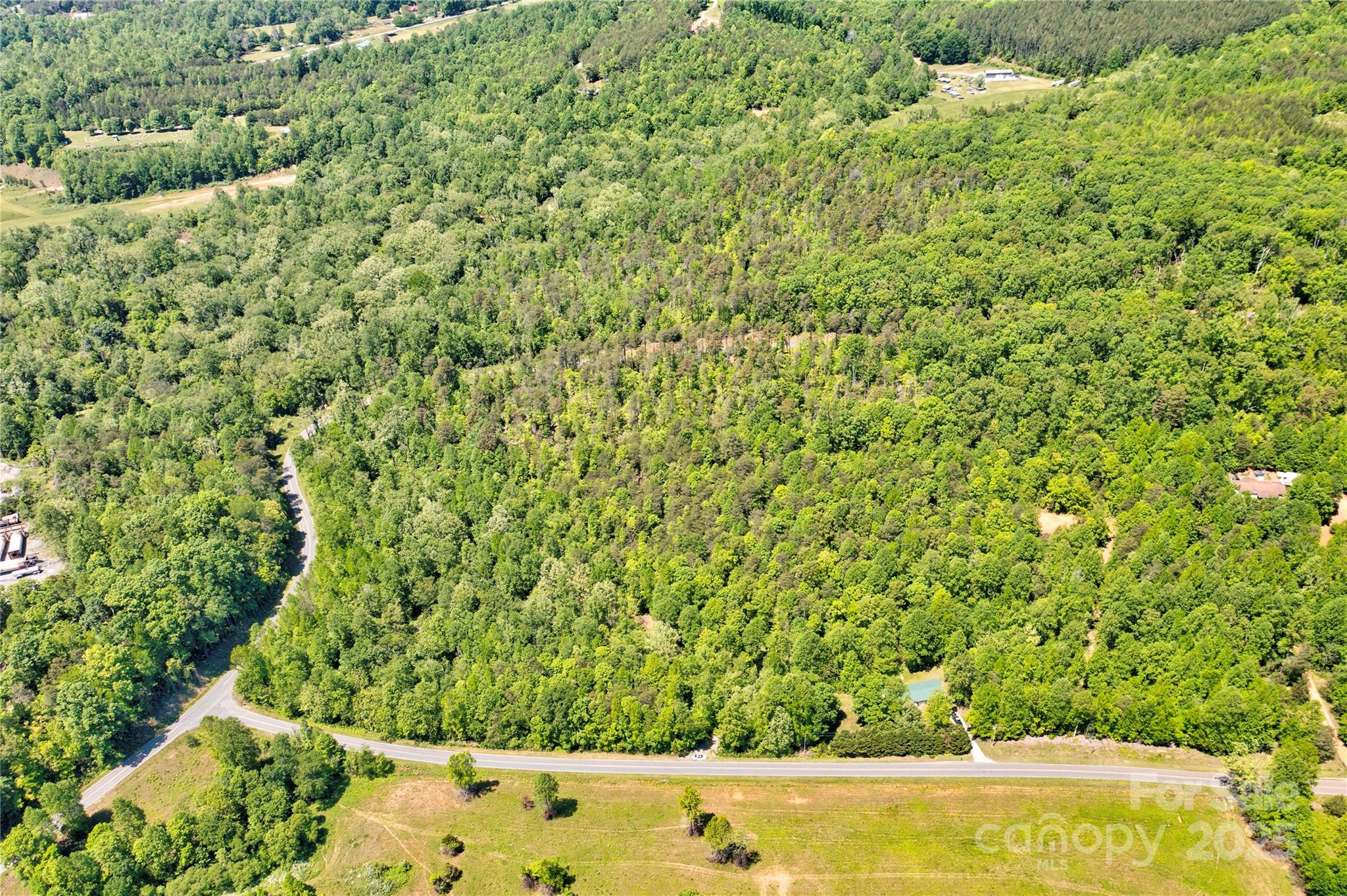 0 Taylor Road Rutherfordton, NC 28139 - Photo 24 of 25 a view of a yard with a tree