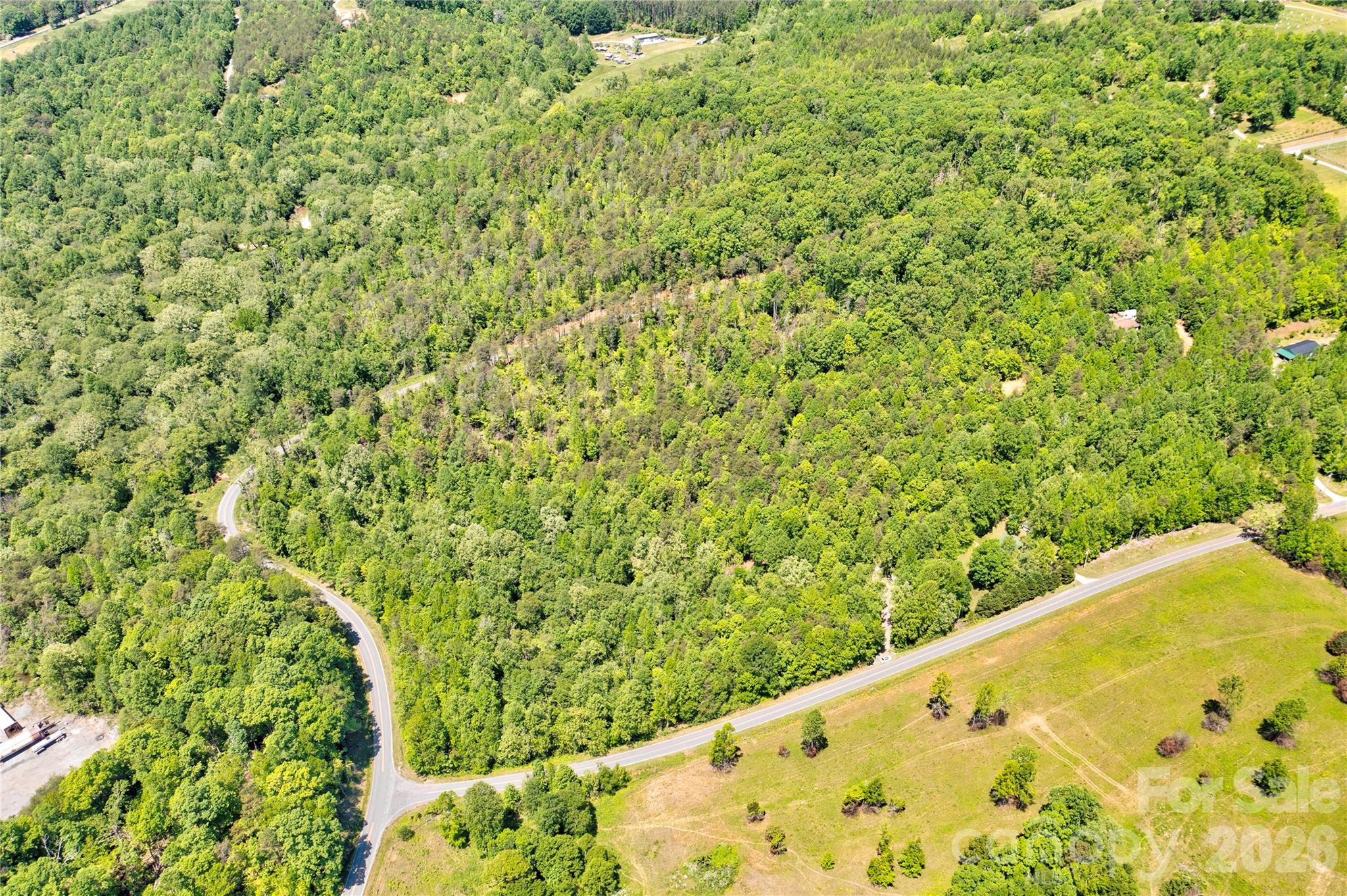 0 Taylor Road Rutherfordton, NC 28139 - Photo 25 of 25 a view of a large trees with lots of bushes