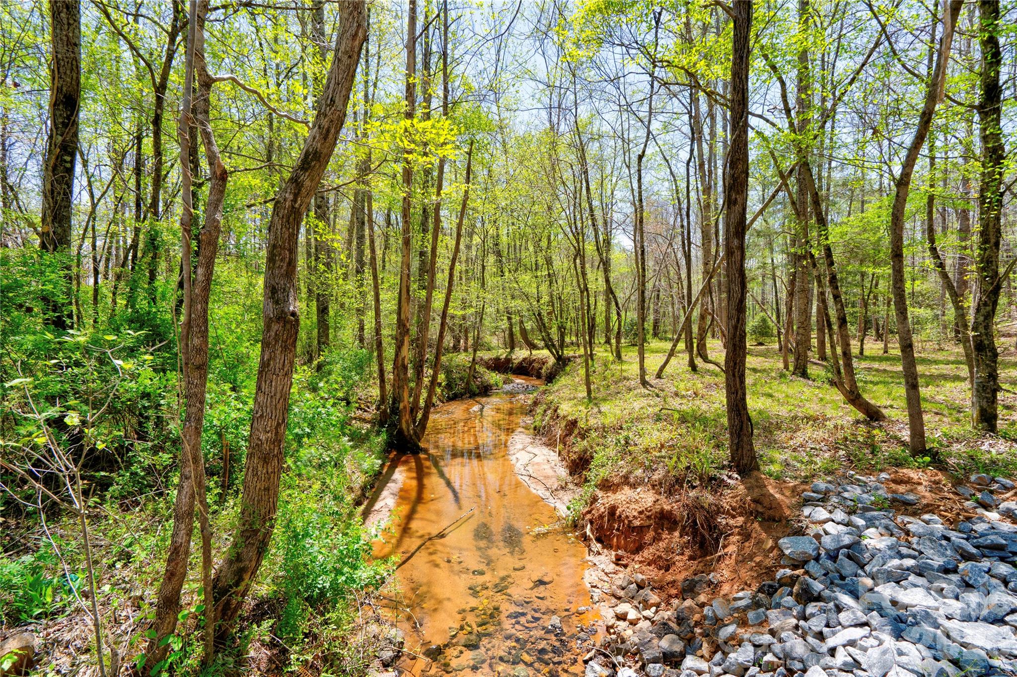 0 Taylor Road Rutherfordton, NC 28139 - Photo 3 of 25 a view of yard