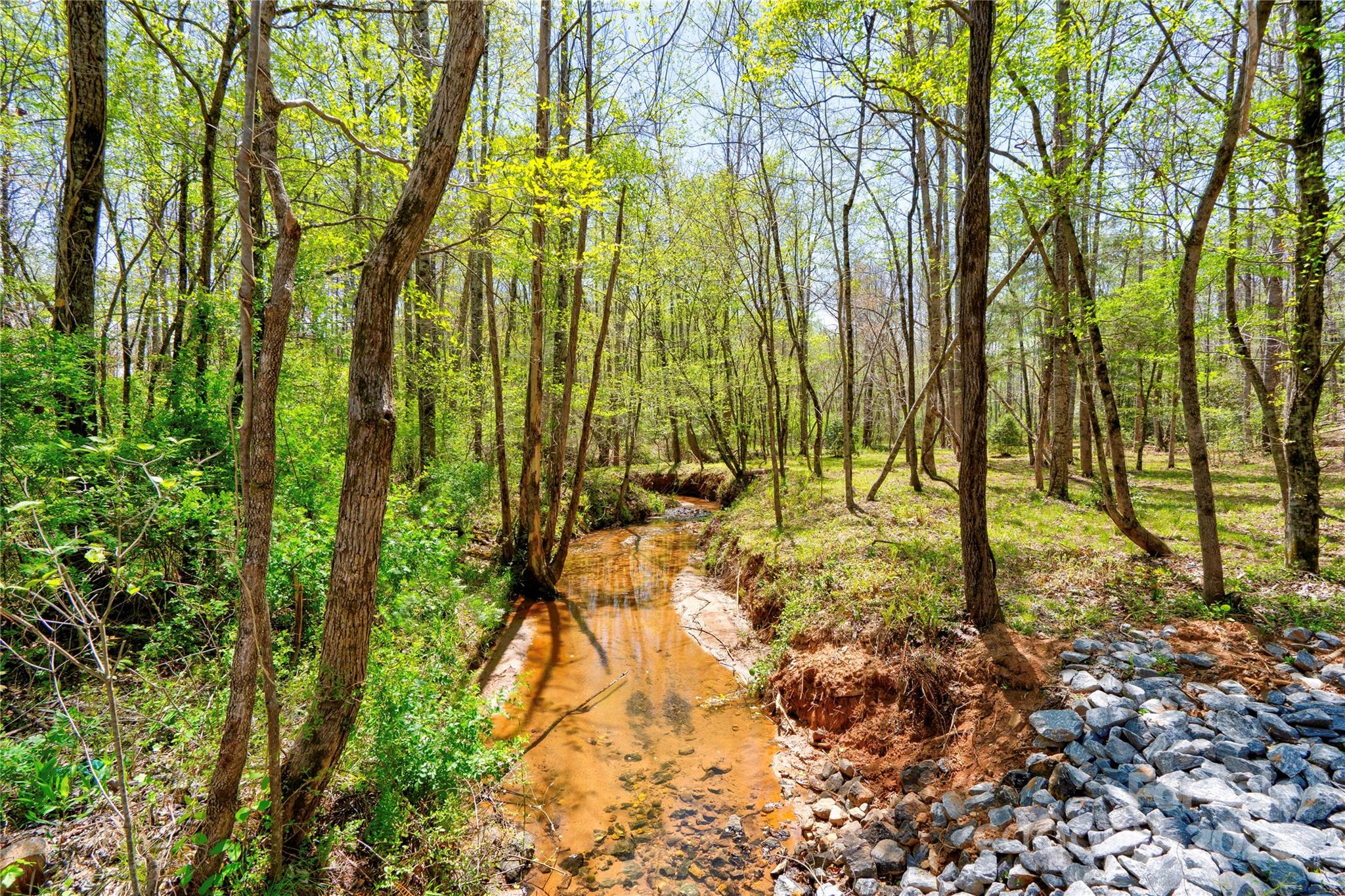 0 Taylor Road Rutherfordton, NC 28139 - Photo 4 of 25 a view of yard