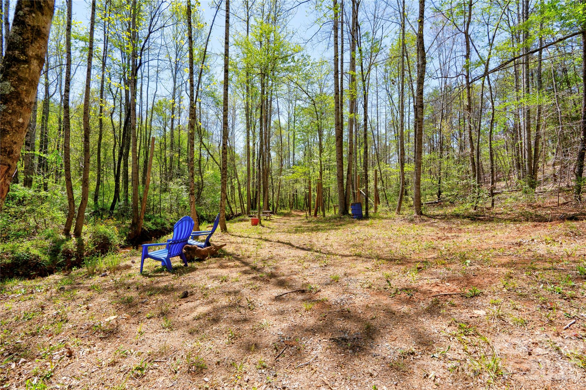 0 Taylor Road Rutherfordton, NC 28139 - Photo 6 of 25 a view of park with large trees
