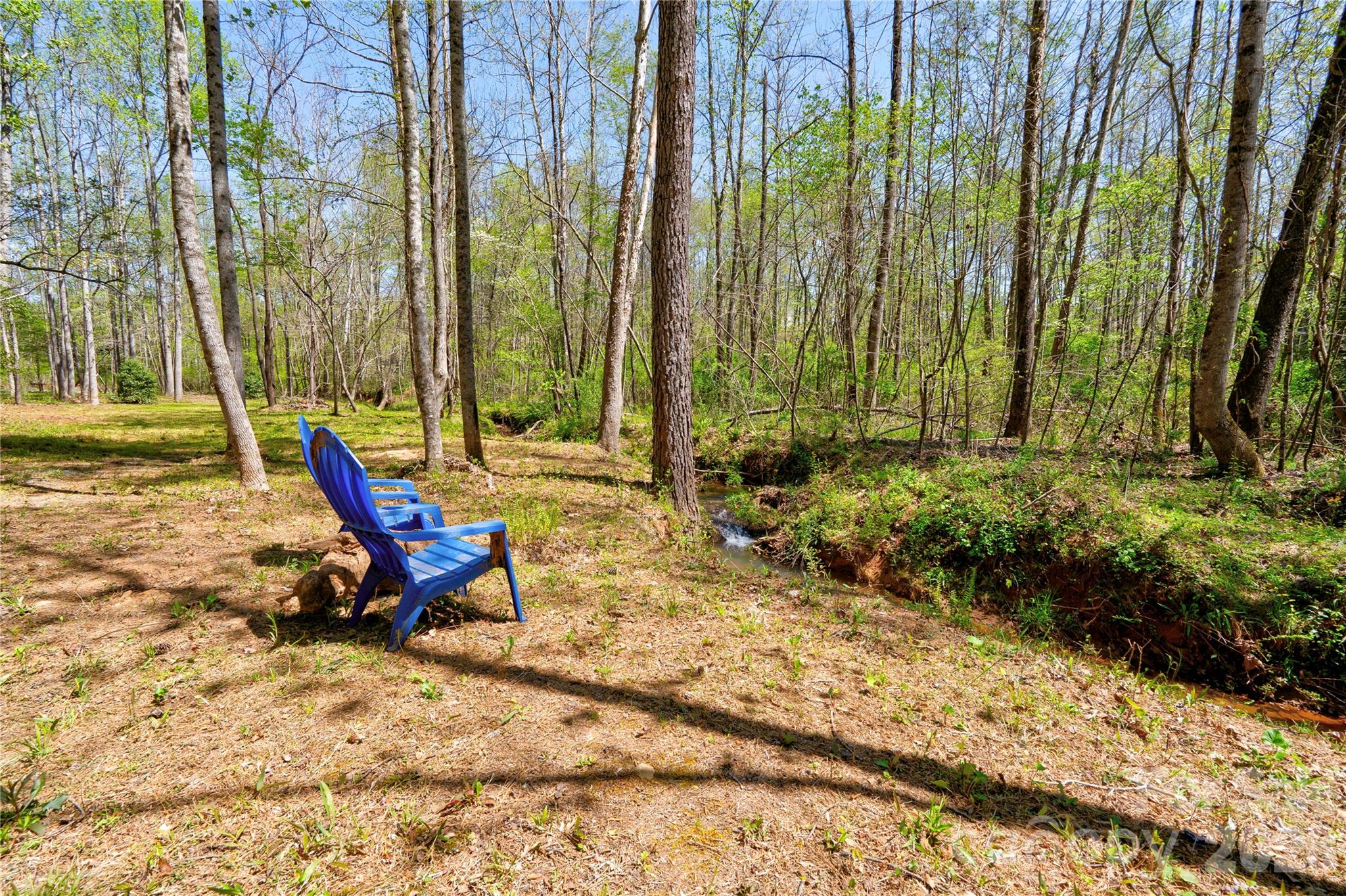 0 Taylor Road Rutherfordton, NC 28139 - Photo 7 of 25 a view of outdoor space with chairs and trees