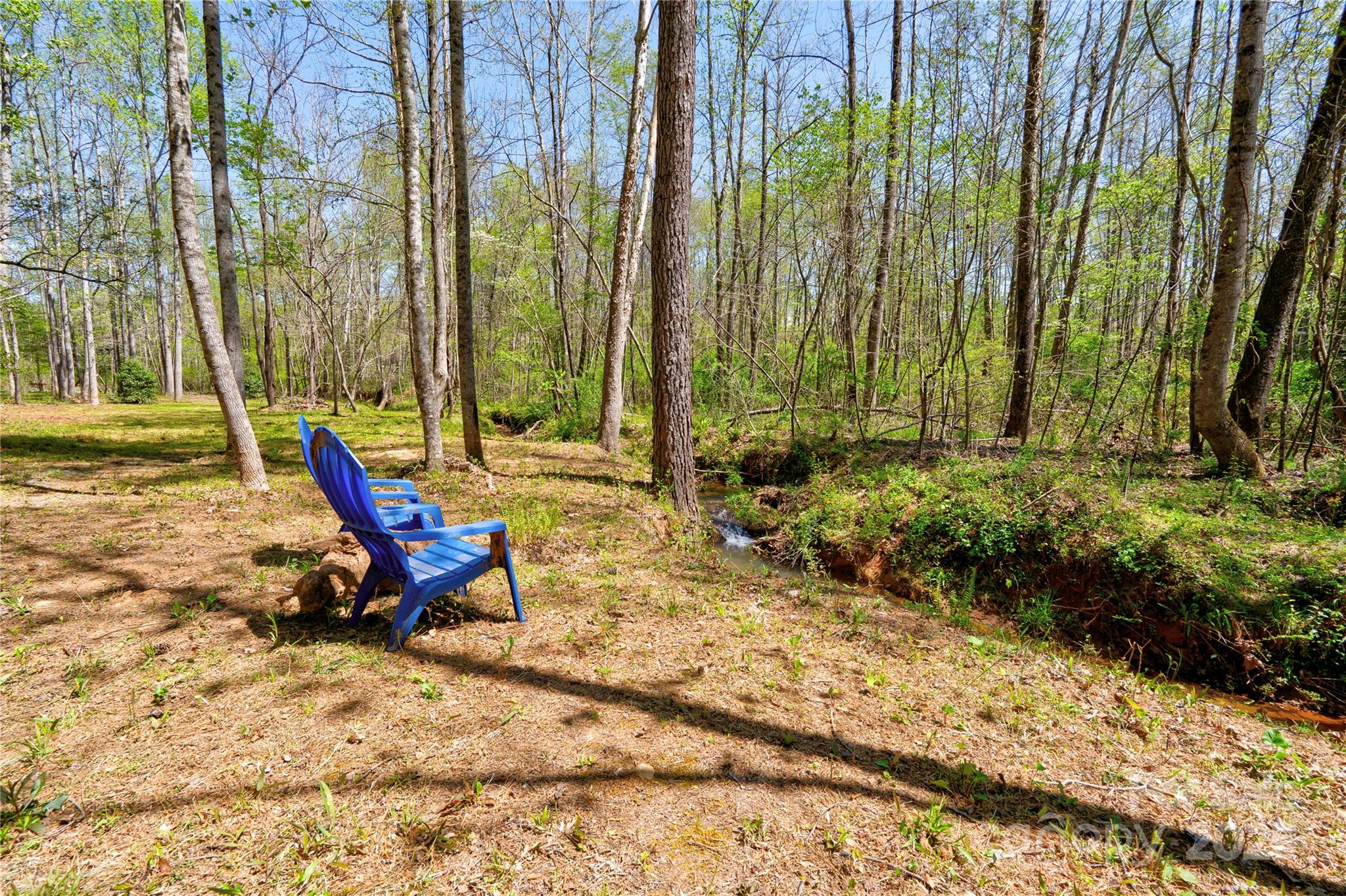 0 Taylor Road Rutherfordton, NC 28139 - Photo 8 of 25 a view of outdoor space with chairs and trees