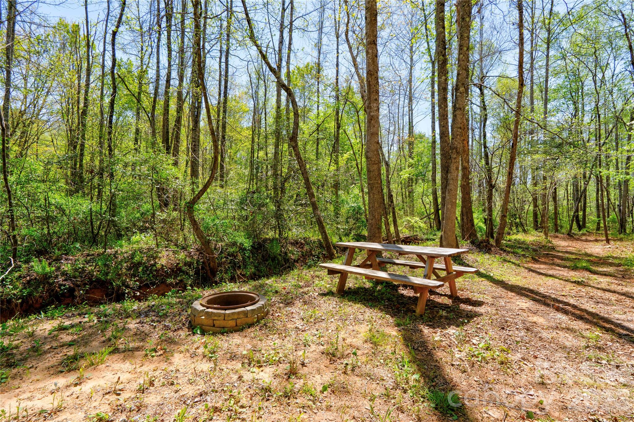 0 Taylor Road Rutherfordton, NC 28139 - Photo 9 of 25 a view of outdoor space with swimming pool and furniture