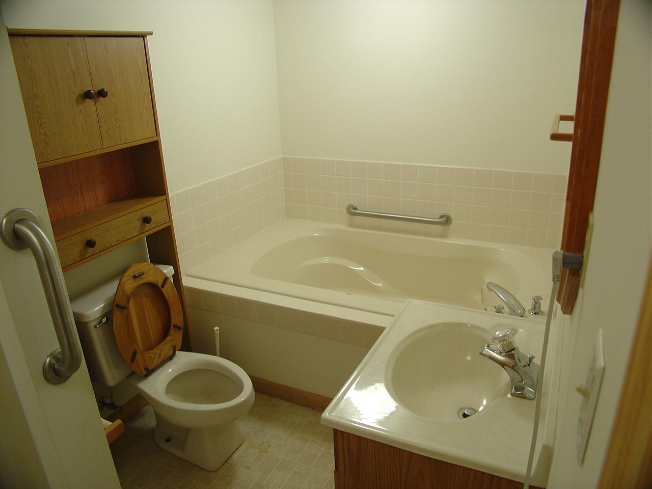 612 Mt Pleasant Road Shawsville, VA 24162 - Photo 12 of 13 Full Bath in Basement