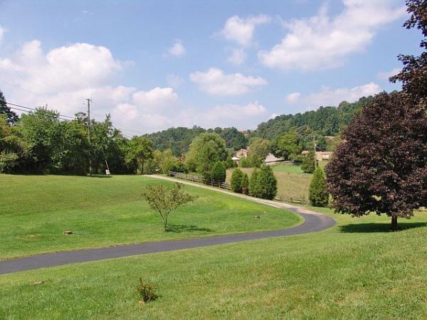 612 Mt Pleasant Road Shawsville, VA 24162 - Photo 3 of 13 Driveway