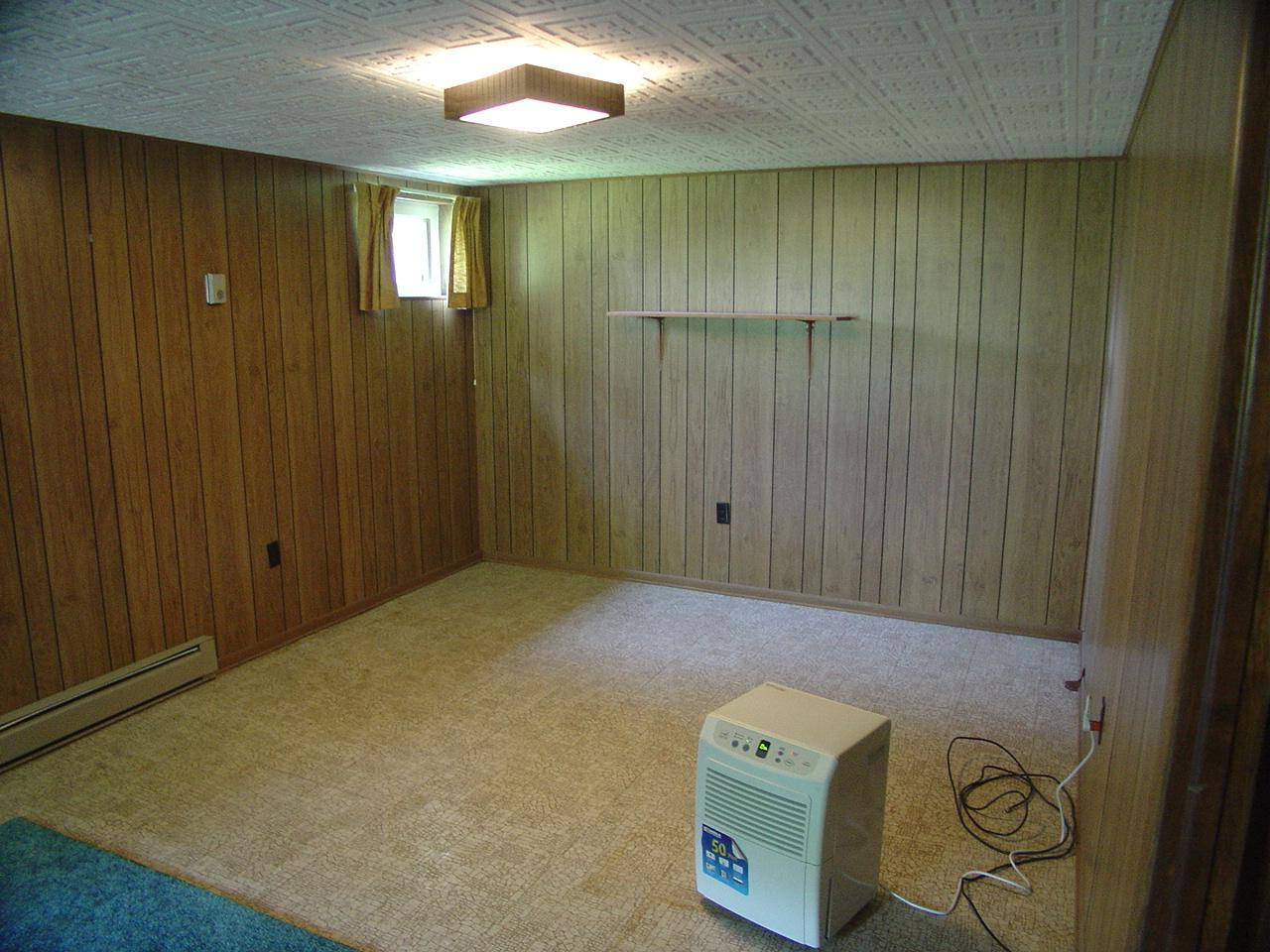 612 Mt Pleasant Road Shawsville, VA 24162 - Photo 9 of 13 Basement 1