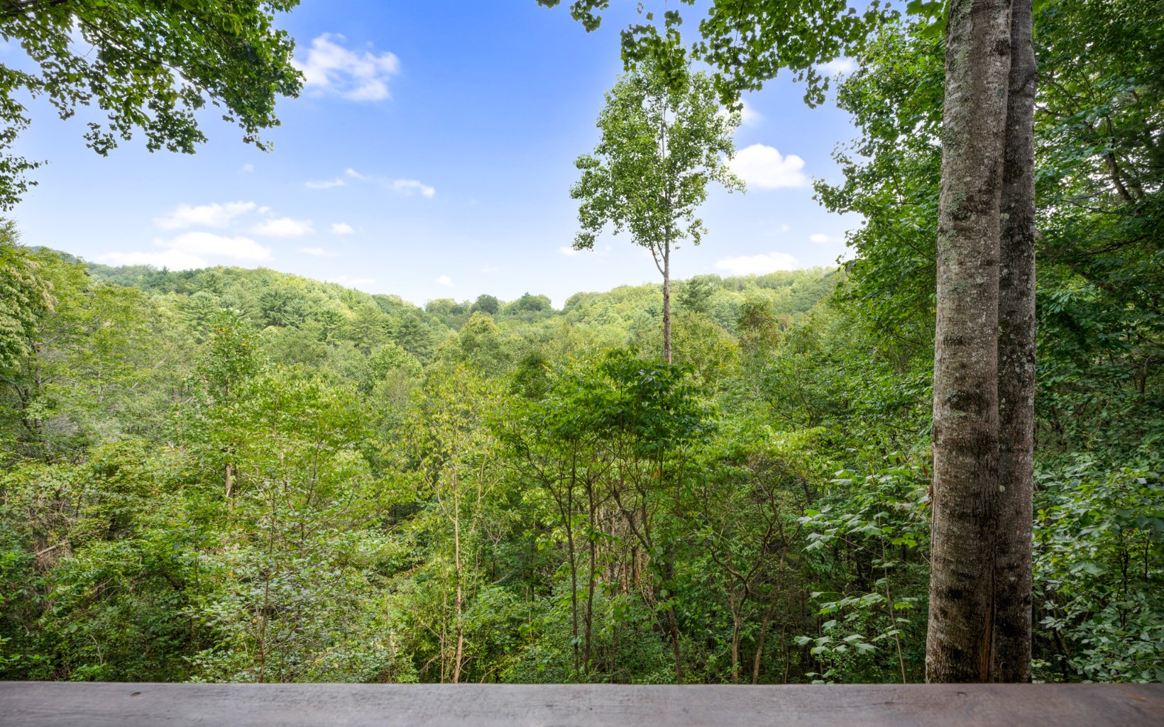 154 Creekside Road Ellijay, GA 30540 - Photo 3 of 30 Additional View