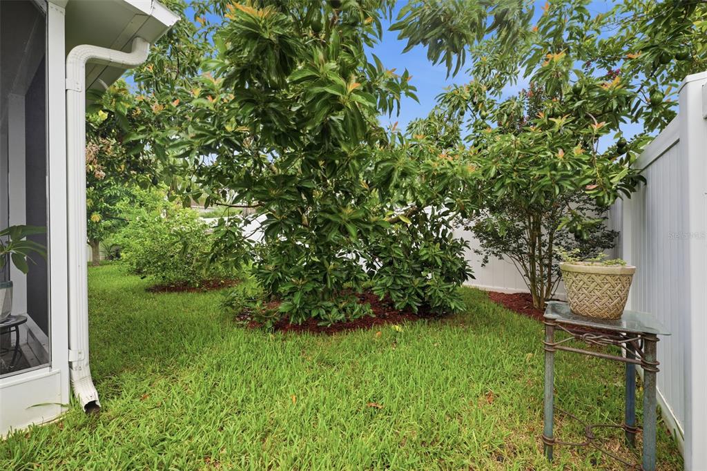 2814 Maple Brook Loop Lutz, FL 33558 - Photo 31 of 54 Gallery Image 31