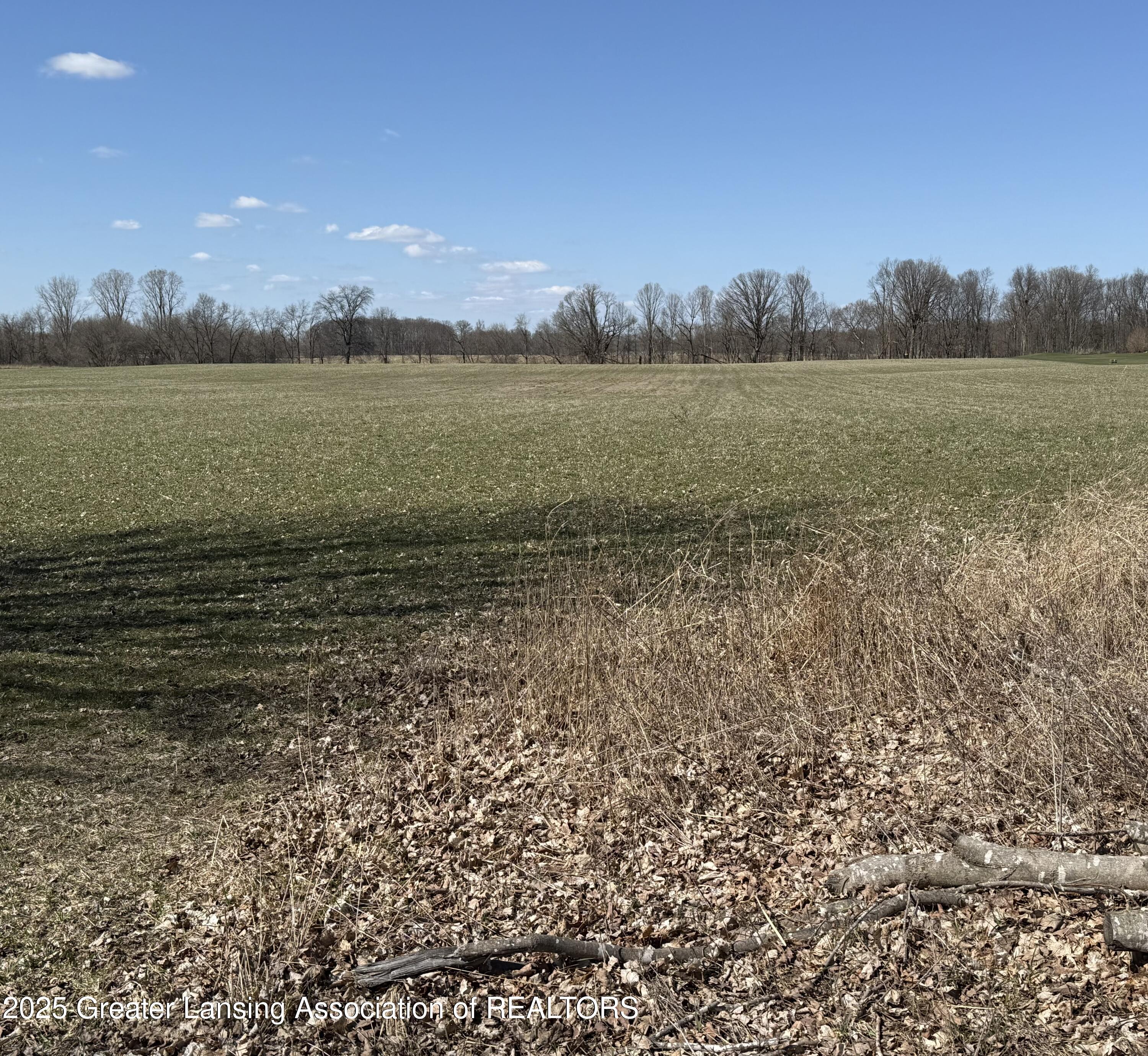 0 Moyer Road Williamston, MI 48895 - Photo 1 of 6 IMG_1263