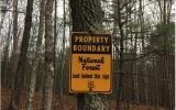 Lot 2 Red Berry Ridge Road Blue Ridge, GA 30513 - Photo 1 of 1 Main View