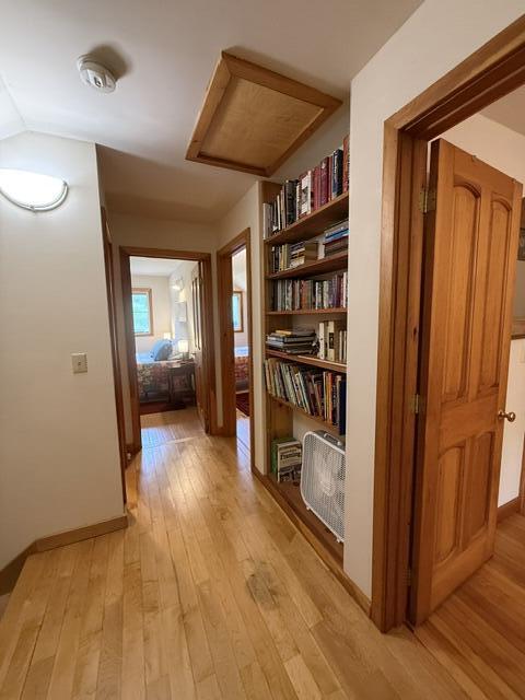 293 Yellow Birch Road Whiting, ME 04691 - Photo 67 of 94 IMG_4914