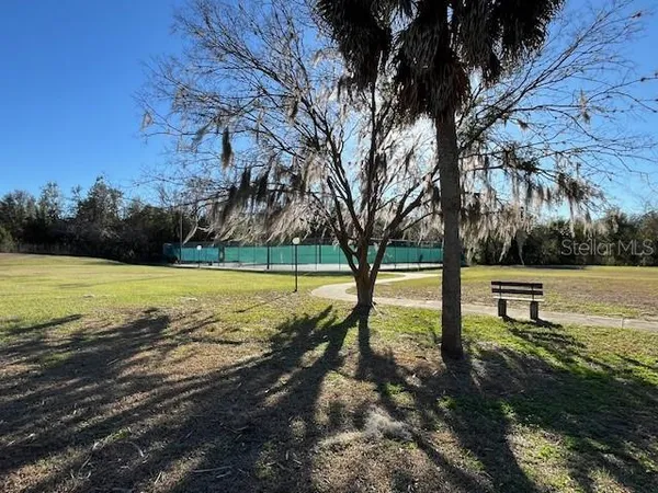 a view of a park with large trees