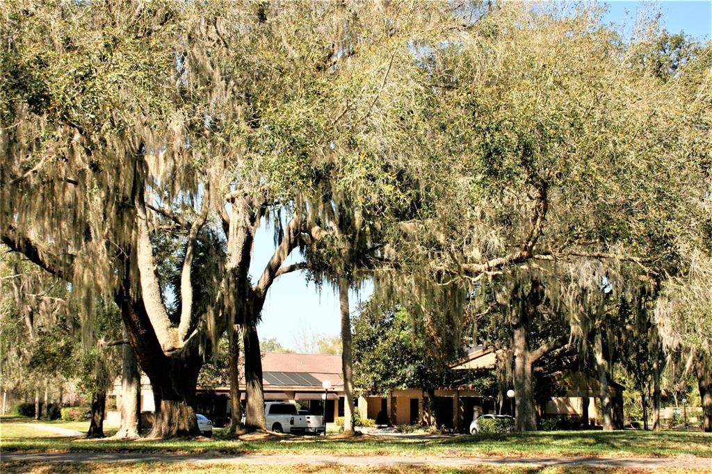 1809 Southwest 29th Street Ocala, FL 34471 - Photo 19 of 20 a view of a city view