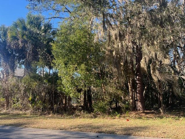 1809 Southwest 29th Street Ocala, FL 34471 - Photo 2 of 20 a view of a yard