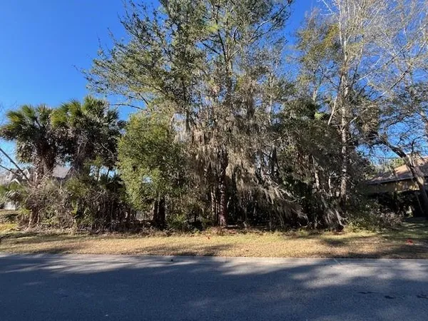 a view of a yard with a tree