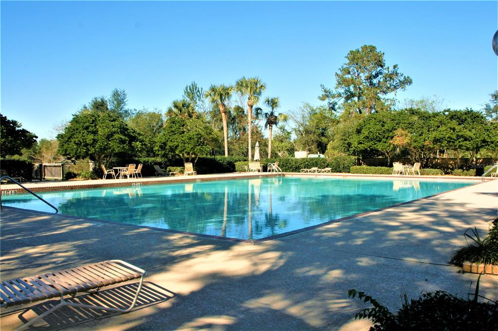 1809 Southwest 29th Street Ocala, FL 34471 - Photo 7 of 20 a view of a lake from a yard