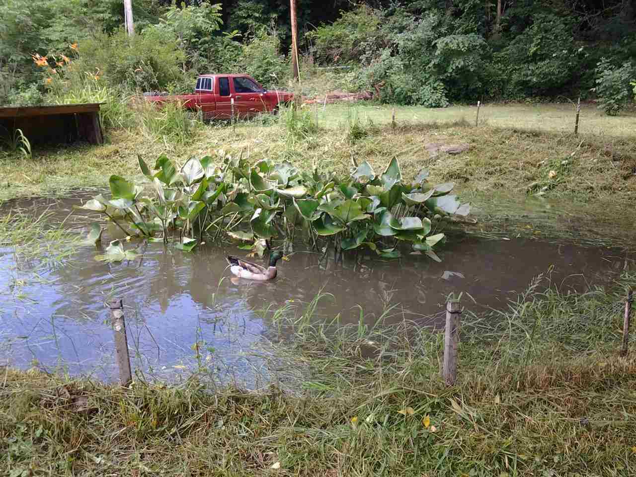 6237 West Towpath Road Delphi, IN 46923 - Photo 15 of 18 Gallery Image 15