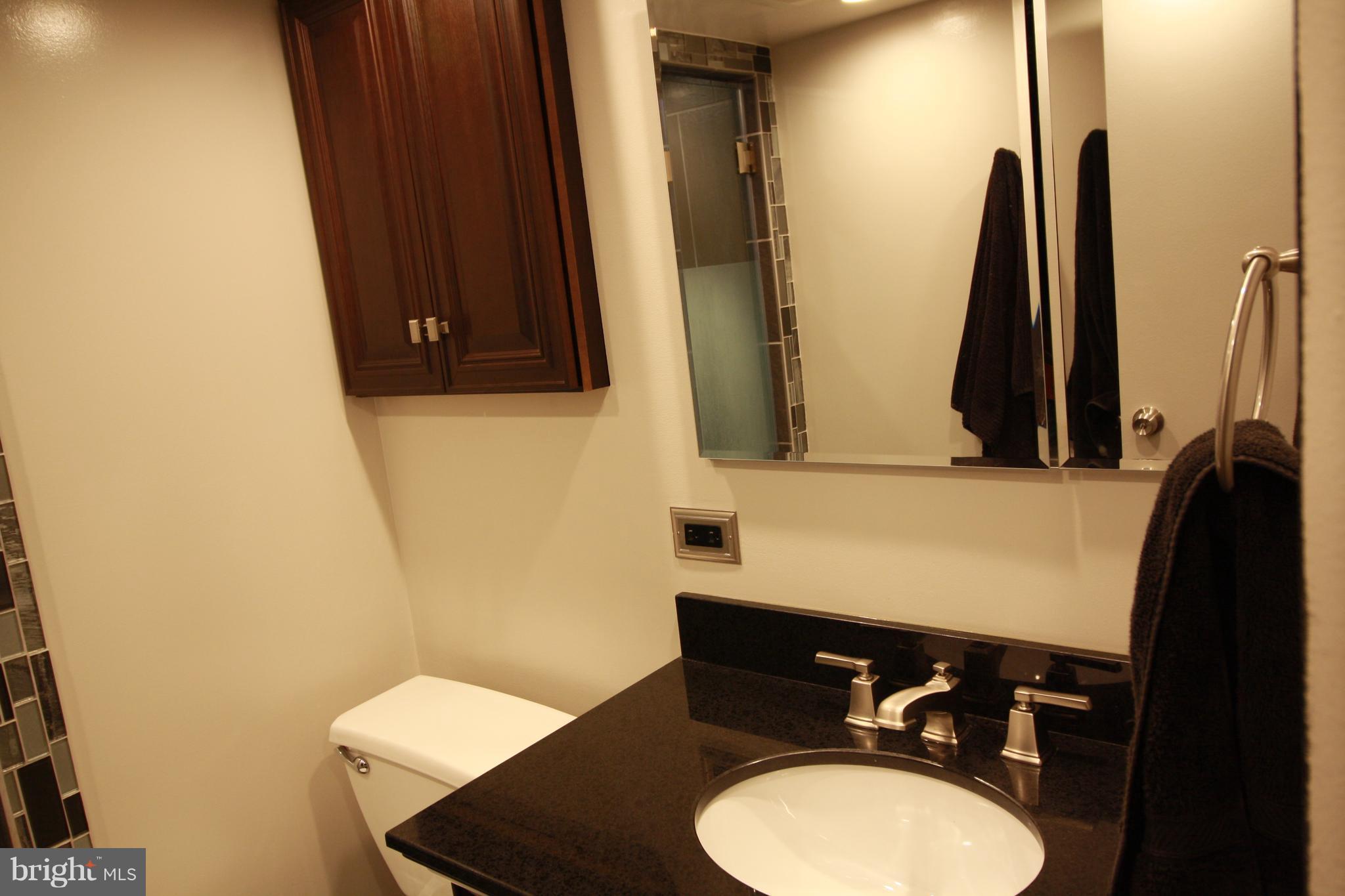 11833 Shire Court, Unit 1A Reston, VA 20191 - Photo 18 of 24 Bath (Master)Redone Bath & Flooring
