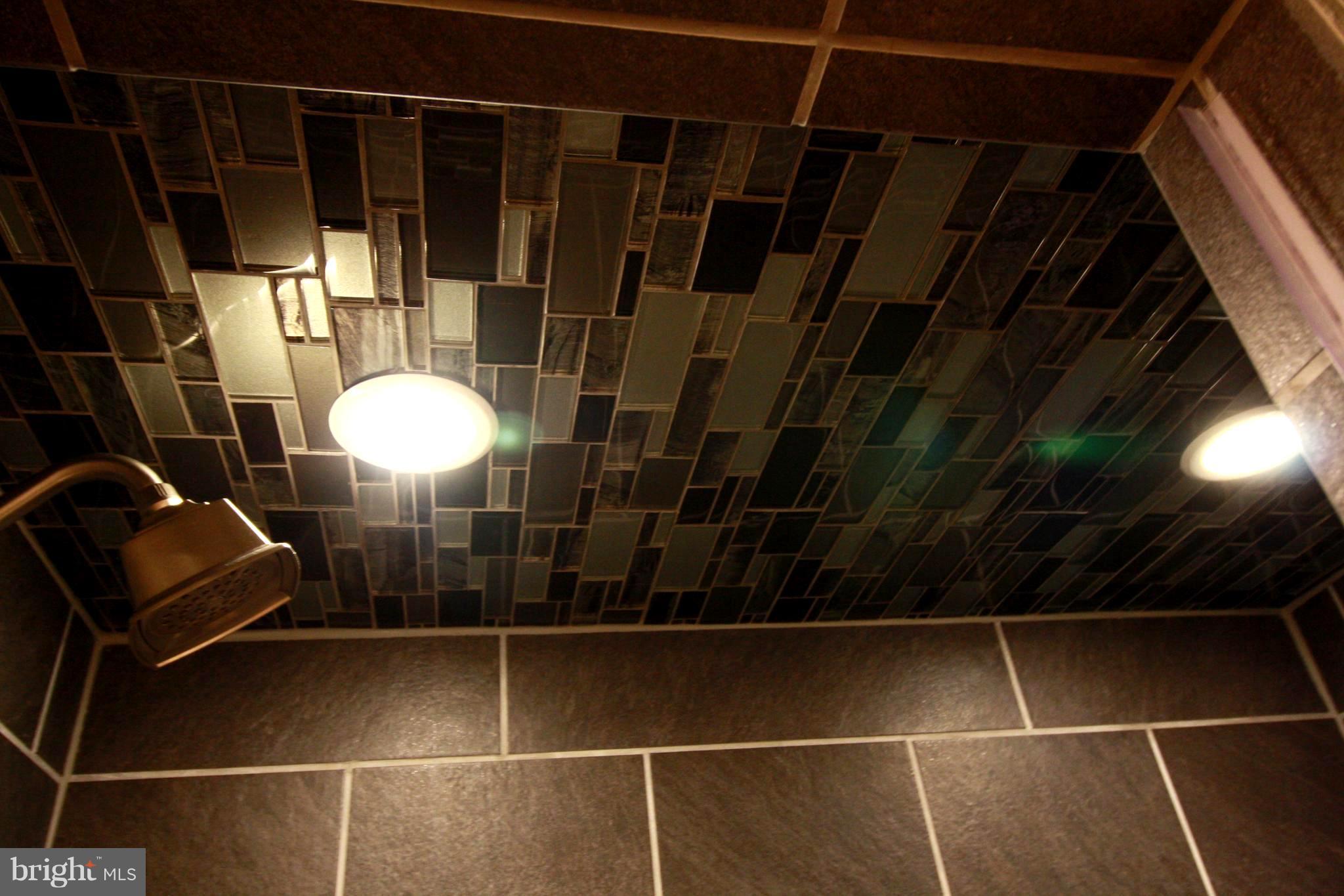 11833 Shire Court, Unit 1A Reston, VA 20191 - Photo 20 of 24 Bath (Master)Shower Lights