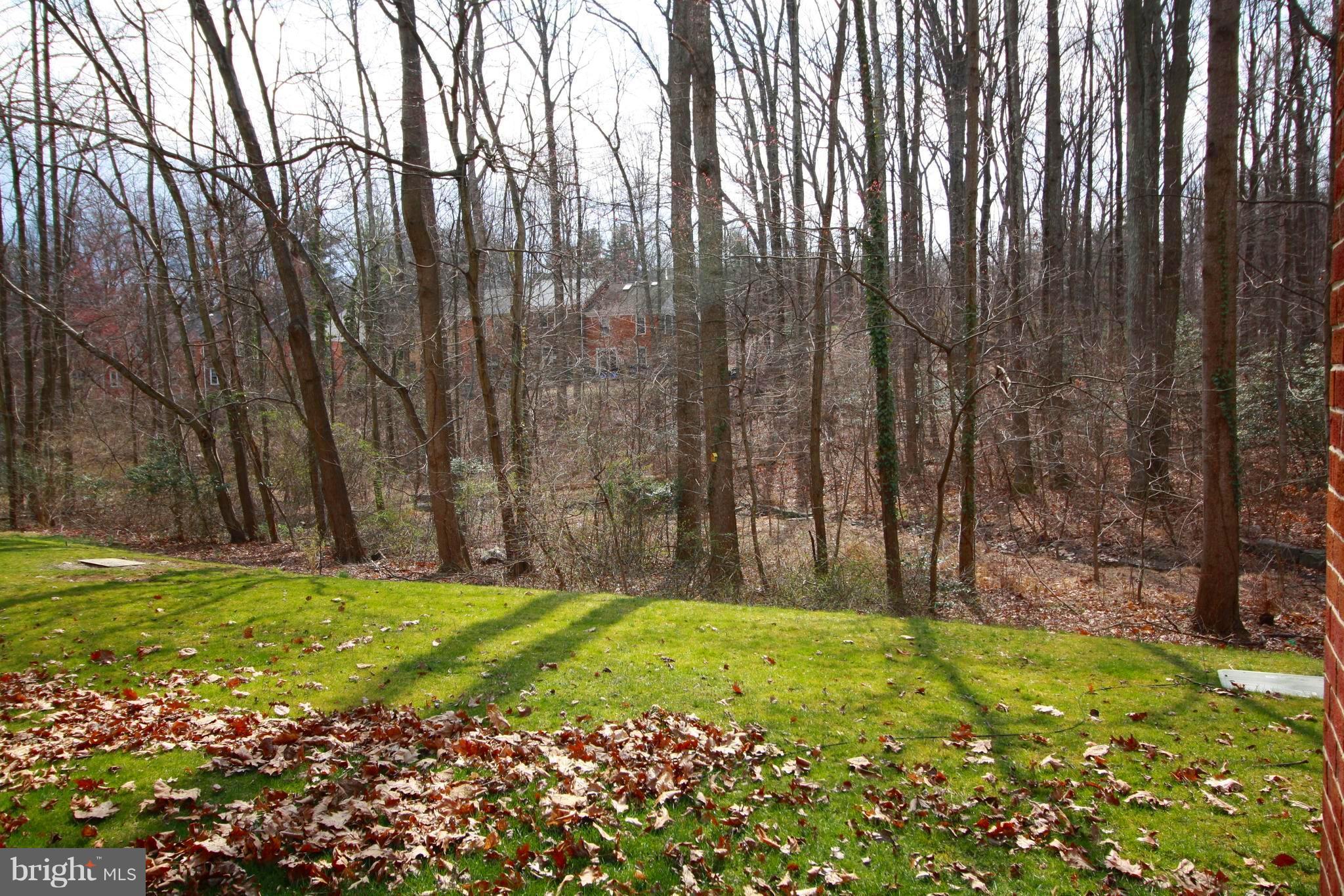 11833 Shire Court, Unit 1A Reston, VA 20191 - Photo 23 of 24 ViewFrom Patio & Living room