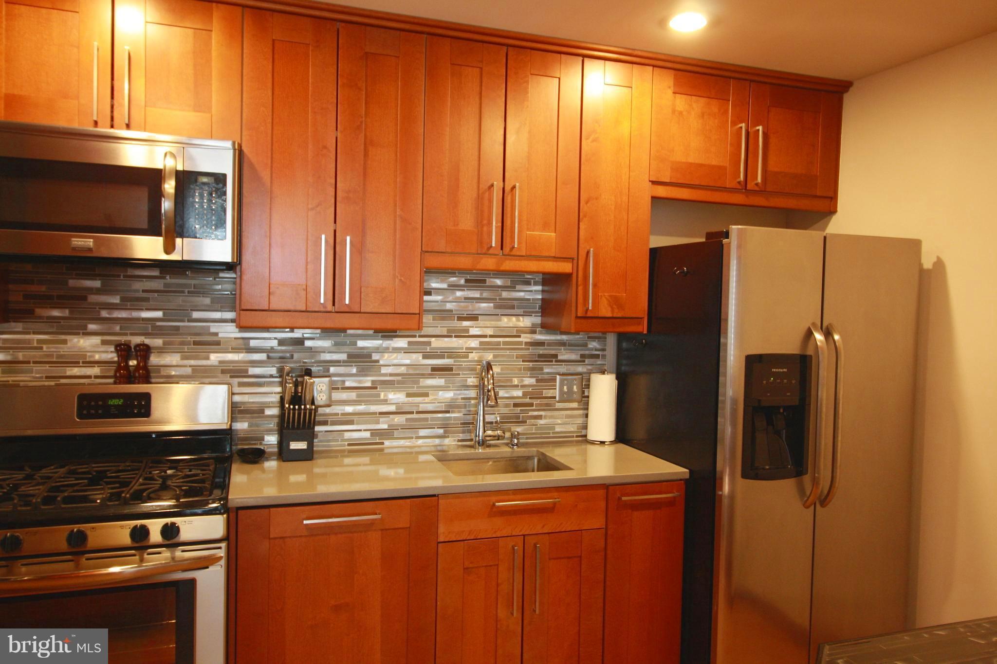 11833 Shire Court, Unit 1A Reston, VA 20191 - Photo 4 of 24 Kitchen ceiling lights