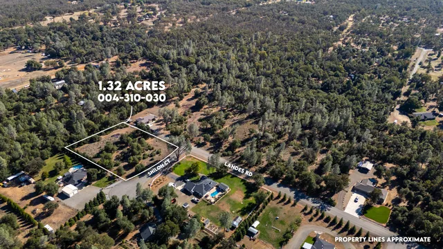 an aerial view of residential building and trees