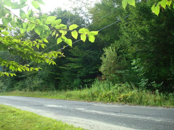 191 Powell Road Cummington, MA 01026 - Photo 1 of 5 Gallery Image 1