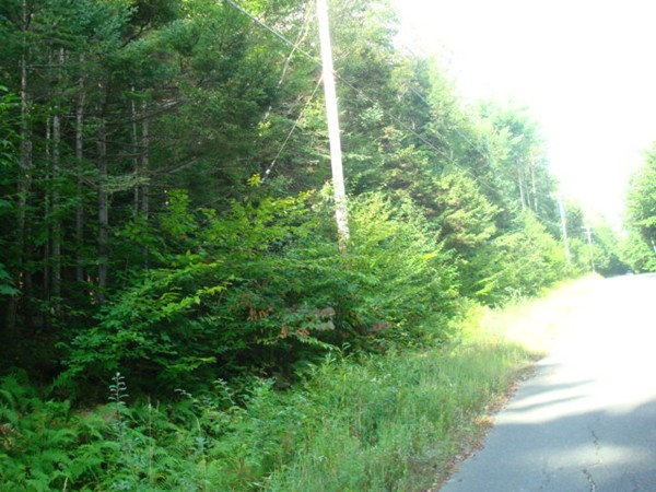 191 Powell Road Cummington, MA 01026 - Photo 4 of 5 Gallery Image 4
