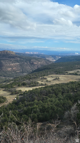 95 Wray Mesa Road, Unit 10 La Sal, UT 84530 - Photo 11 of 14 Paradox Valley in distance