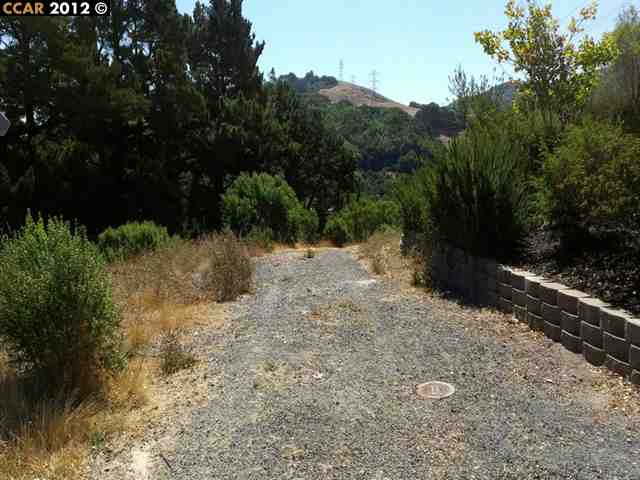 138 Oak Road Orinda, CA 94563 - Photo 1 of 1 a view of a yard with a tree